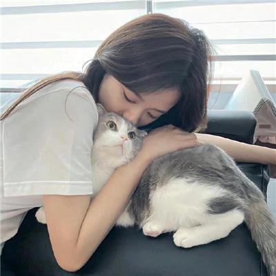后宫开挂人生